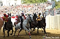 VBS_1043 - Palio di Asti 2024